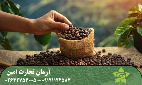 دانه قهوه چیست و چگونه به دست می‌آید؟