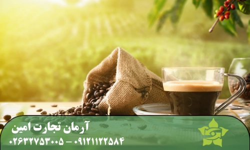 انواع دانه قهوه خام