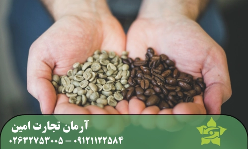 تفاوت دانه قهوه سبز و رست شده چیست