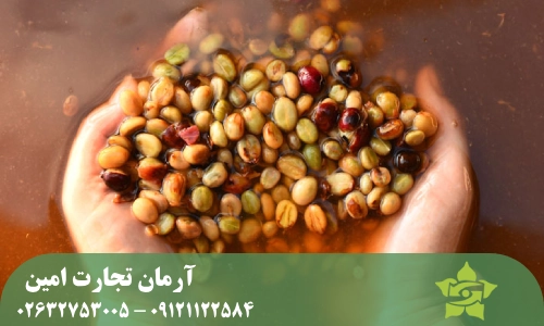 فرآوری شسته قهوه سبز (Washed Processing)