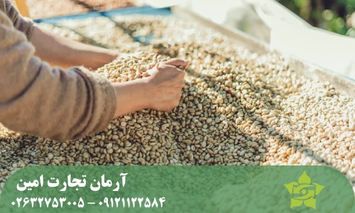عوامل مؤثر در انتخاب روش فرآوری قهوه سبز