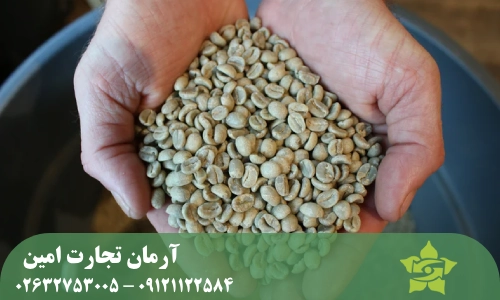 چرا خرید عمده دانه سبز از آرمان تجارت امین بهترین انتخاب است؟