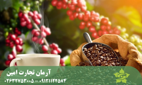 تفاوت دانه قهوه عربیکا با روبوستا برای خرید عمده