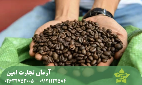 قیمت قهوه روبوستا