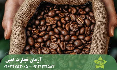 خرید عمده قهوه روبوستا