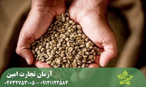 چرا شناخت قهوه عربیکا مهم است؟